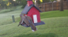 /Birds//Thumbs//found20250508-072656.png 