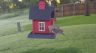 /Birds//Thumbs//found20250508-072746.png 