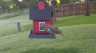 /Birds//Thumbs//found20250508-072838.png 