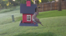 /Birds//Thumbs//found20250508-072904.png 