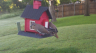 /Birds//Thumbs//found20250508-072959.png 