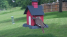 /Birds//Thumbs//found20250508-140626.png 