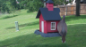 /Birds//Thumbs//found20250508-162205.png 