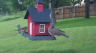 /Birds//Thumbs//found20250508-181046.png 