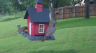 /Birds//Thumbs//found20250508-181446.png 