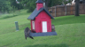 /Birds//Thumbs//found20250508-181602.png 