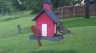 /Birds//Thumbs//found20250508-183008.png 
