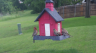 /Birds//Thumbs//found20250509-115420.png 