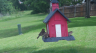 /Birds//Thumbs//found20250509-123055.png 