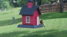 /Birds//Thumbs//found20250509-124704.png 