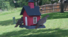 /Birds//Thumbs//found20250509-130533.png 