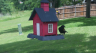 /Birds//Thumbs//found20250509-141057.png 