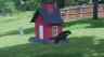/Birds//Thumbs//found20250509-141110.png 