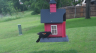 /Birds//Thumbs//found20250509-143341.png 