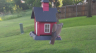/Birds//Thumbs//found20250510-073500.png 
