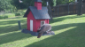 /Birds//Thumbs//found20250511-092153.png 