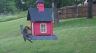 /Birds//Thumbs//found20250511-132805.png 