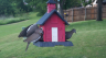 /Birds//Thumbs//found20250511-180106.png 