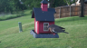 /Birds//Thumbs//found20250511-185426.png 