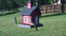 /Birds//Thumbs//found20250512-183934.png 