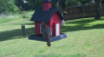/Birds//Thumbs//found20250514-110435.png 