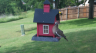 /Birds//Thumbs//found20250515-165745.png 