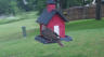 /Birds//Thumbs//found20250516-123656.png 