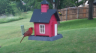 /Birds//Thumbs//found20250516-161603.png 