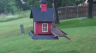 /Birds//Thumbs//found20250518-072230.png 