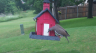 /Birds//Thumbs//found20250518-081500.png 
