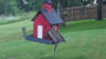 /Birds//Thumbs//found20250518-090900.png 
