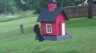 /Birds//Thumbs//found20250518-100128.png 