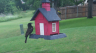 /Birds//Thumbs//found20250518-100623.png 