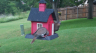 /Birds//Thumbs//found20250518-170155.png 