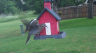 /Birds//Thumbs//found20250518-175046.png 