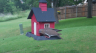 /Birds//Thumbs//found20250519-125324.png 
