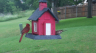 /Birds//Thumbs//found20250519-130920.png 