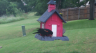 /Birds//Thumbs//found20250524-071747.png 
