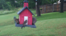 /Birds//Thumbs//found20250526-072551.png 