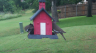 /Birds//Thumbs//found20250526-112227.png 