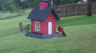 /Birds//Thumbs//found20250526-124353.png 