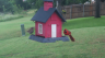 /Birds//Thumbs//found20250526-124405.png 