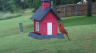 /Birds//Thumbs//found20250526-125438.png 