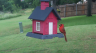 /Birds//Thumbs//found20250526-125441.png 