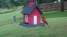 /Birds//Thumbs//found20250526-125508.png 