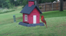 /Birds//Thumbs//found20250526-125523.png 