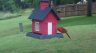 /Birds//Thumbs//found20250526-125534.png 