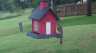 /Birds//Thumbs//found20250526-134554.png 
