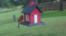 /Birds//Thumbs//found20250526-152148.png 