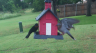 /Birds//Thumbs//found20250526-161406.png 